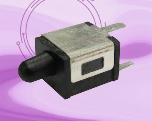 Pushbutton Switches / Detect Switches (DS)