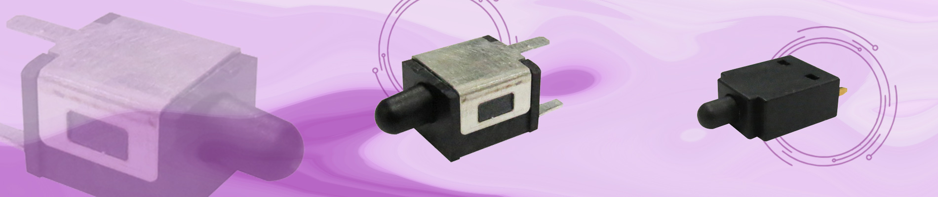 Pushbutton Switches / Detect Switches (DS)