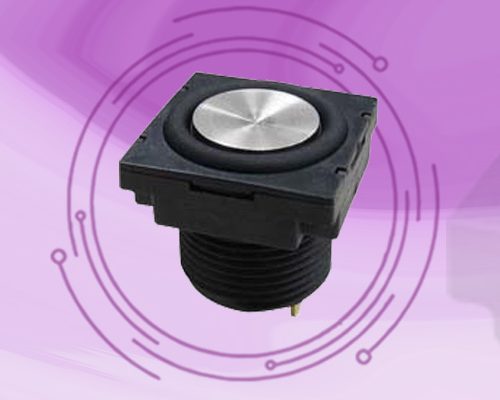 Pushbutton Switches (PY)