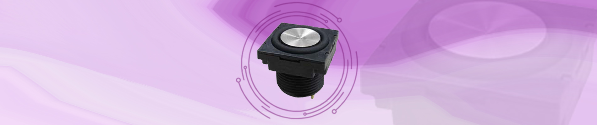 Pushbutton Switches (PY)