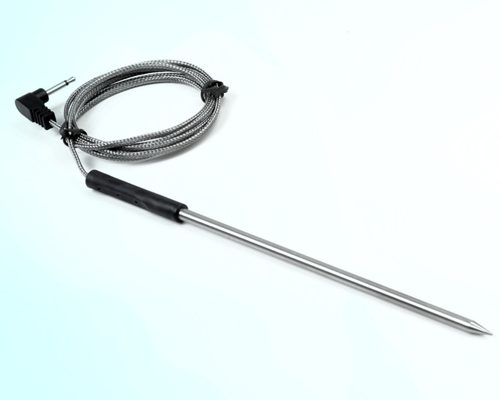 RTD Temperature Sensor