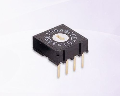 Rotary Code Switches (RH, RV, RM)
