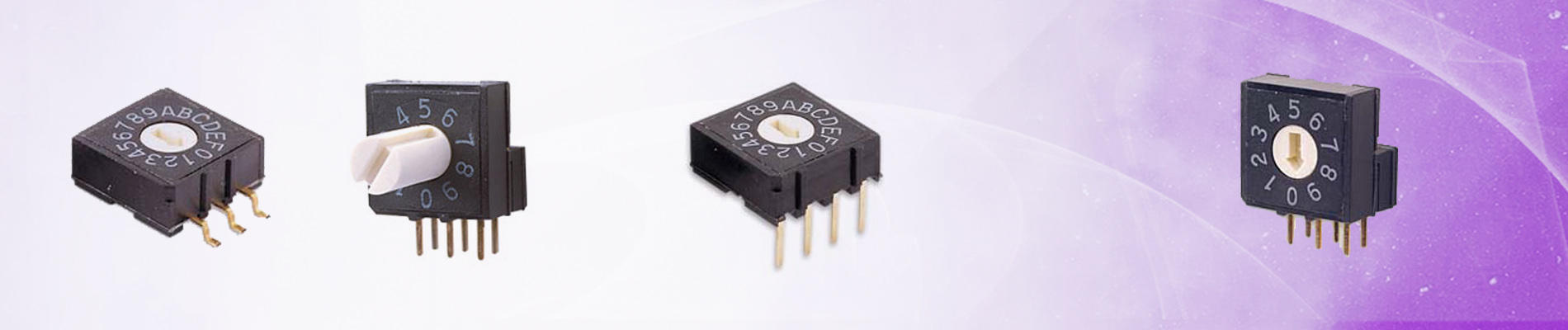 Rotary Code Switches (RH, RV, RM)