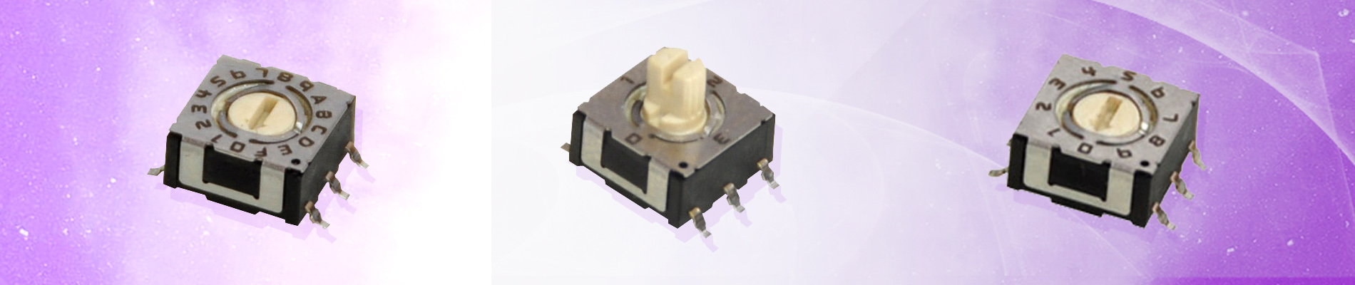 Rotary Switches (RSC)