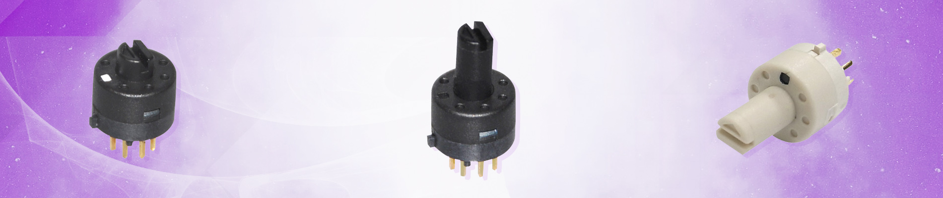 Rotary Switches (RT)